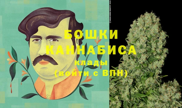 индика Сатка