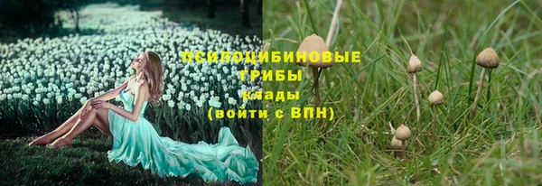 спиды Балахна