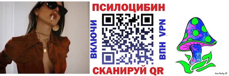 shop Telegram  Кыштым  Псилоцибиновые грибы прущие грибы 
